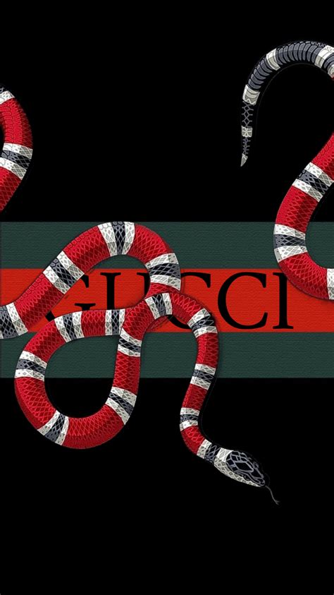 gucci snake wallpaper 4k|cute gucci wallpapers.